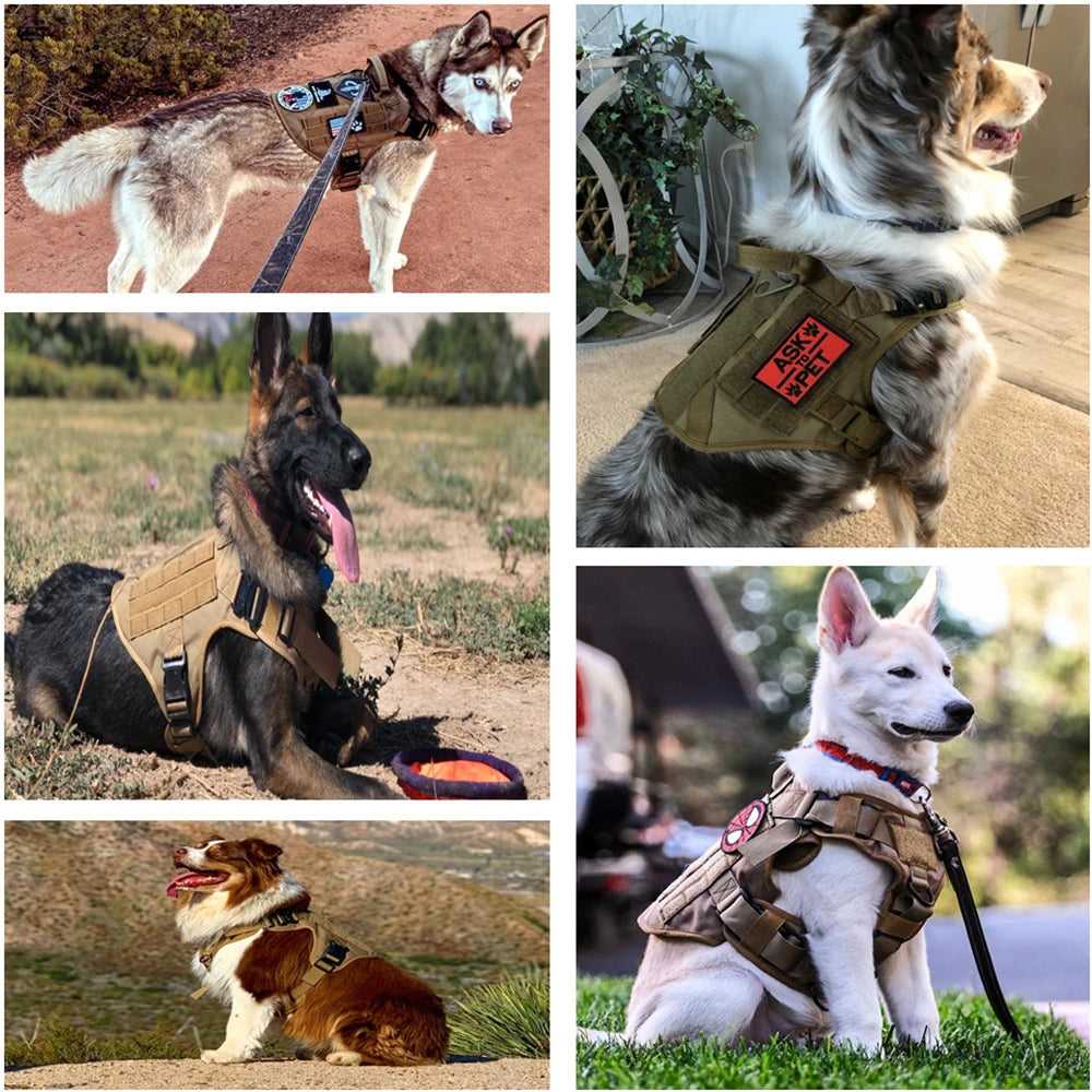 Harnais militaire pour grand chien, collier, laisse, sacs, patchs, gilets d'entraînement pour animaux de compagnie Malinois, harnais tactique pour chiens, accessoires