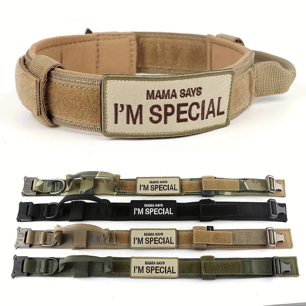 Harnais militaire pour grand chien, collier, laisse, sacs, patchs, gilets d'entraînement pour animaux de compagnie Malinois, harnais tactique pour chiens, accessoires