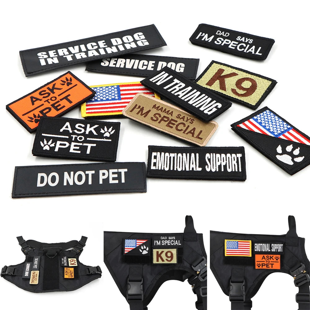 Harnais militaire pour grand chien, collier, laisse, sacs, patchs, gilets d'entraînement pour animaux de compagnie Malinois, harnais tactique pour chiens, accessoires