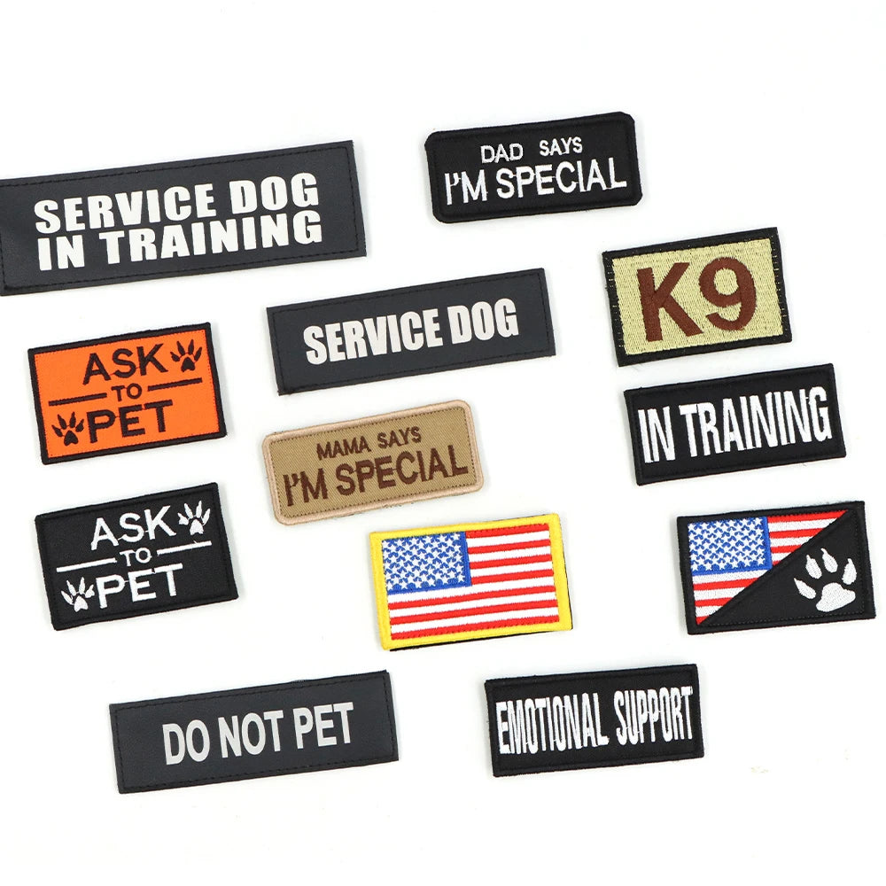 Harnais militaire pour grand chien, collier, laisse, sacs, patchs, gilets d'entraînement pour animaux de compagnie Malinois, harnais tactique pour chiens, accessoires