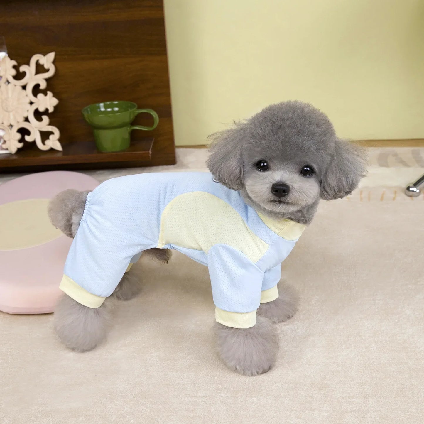 Titre (EN/FR)
Breathable Summer Pet Jumpsuit – Cooling Outfit for Small Dogs & Cats / Combinaison d’Été Respirante pour Animaux – Tenue Fraîcheur pour Petits Chiens et Chats