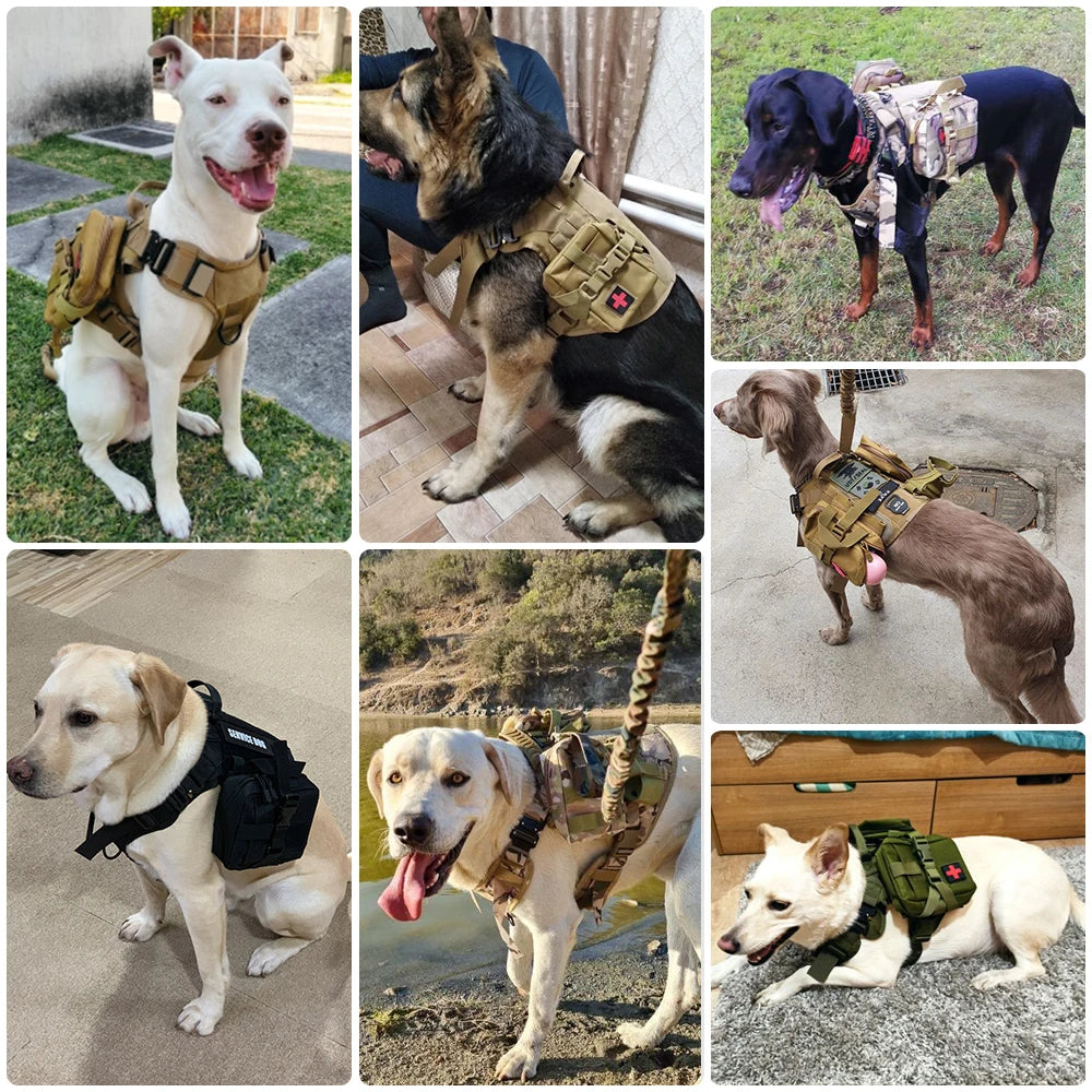 Harnais militaire pour grand chien, collier, laisse, sacs, patchs, gilets d'entraînement pour animaux de compagnie Malinois, harnais tactique pour chiens, accessoires