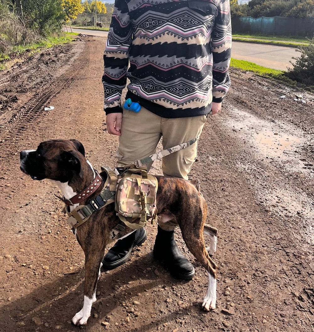 Harnais militaire pour grand chien, collier, laisse, sacs, patchs, gilets d'entraînement pour animaux de compagnie Malinois, harnais tactique pour chiens, accessoires
