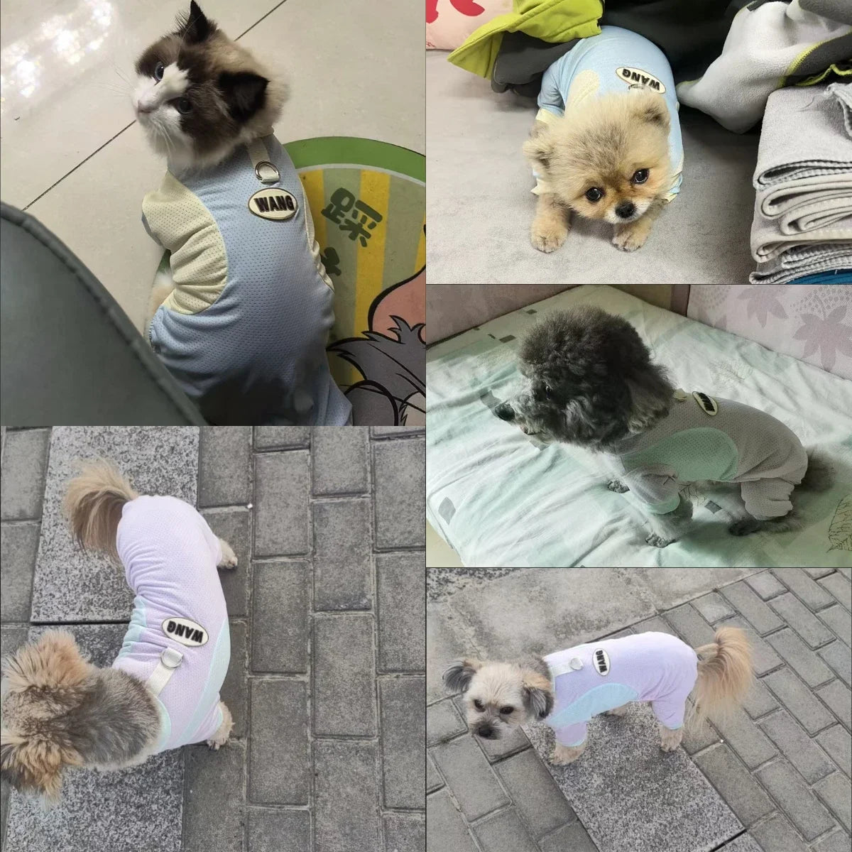 Titre (EN/FR)
Breathable Summer Pet Jumpsuit – Cooling Outfit for Small Dogs & Cats / Combinaison d’Été Respirante pour Animaux – Tenue Fraîcheur pour Petits Chiens et Chats