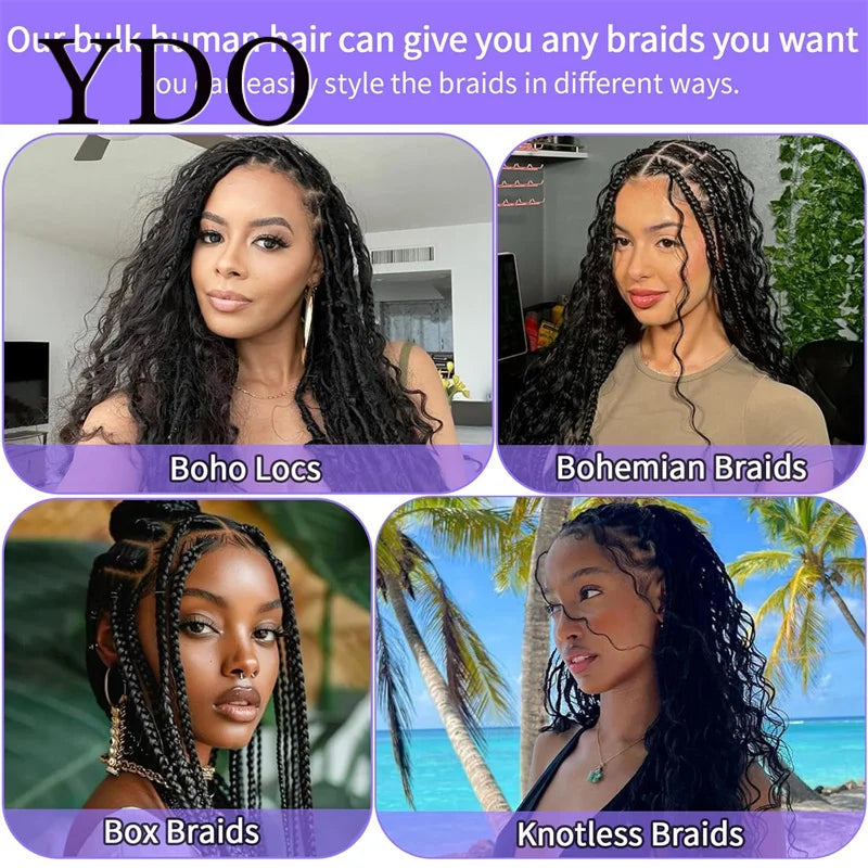 ---
Title / Titre
EN: Bulk Human Hair for Braiding – Honey Blonde 27#, Deep Wave, Curly, No Weft Extensions for Boho and Box Braids
FR: Cheveux humains en vrac pour tresses – Blond miel 27#, ondulation profonde, bouclés