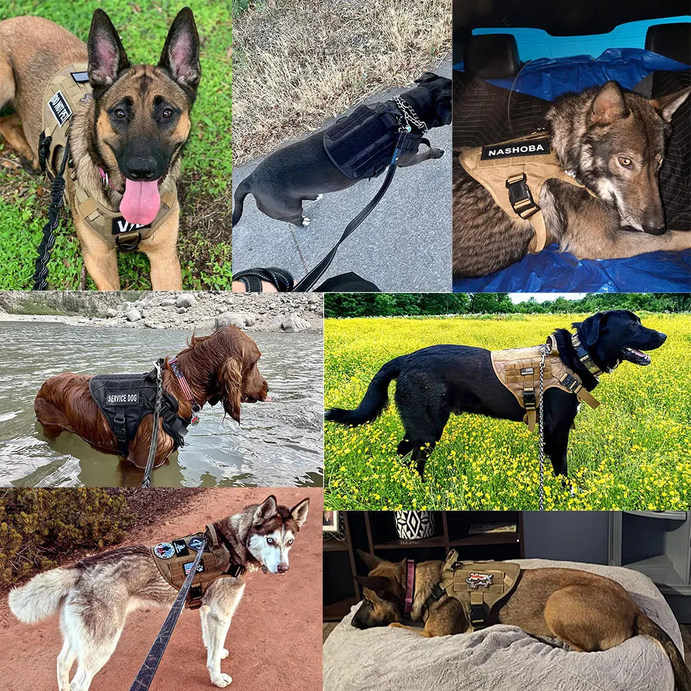 Harnais militaire pour grand chien, collier, laisse, sacs, patchs, gilets d'entraînement pour animaux de compagnie Malinois, harnais tactique pour chiens, accessoires